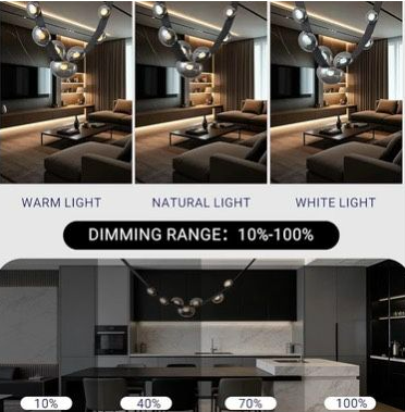 Belt LED Chandelier 4