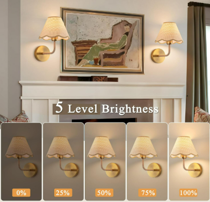 Wireless Wall Sconce 4