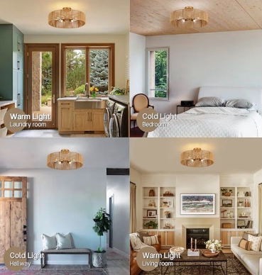 Ceiling Light 3
