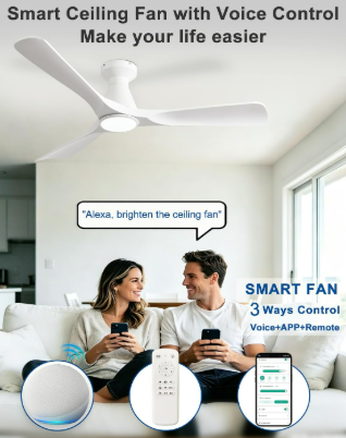 Ceiling Fan 52 Inch 3