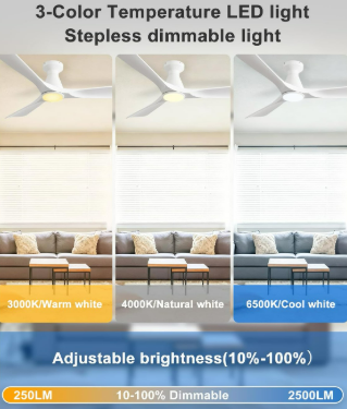 Ceiling Fan 52 Inch 4