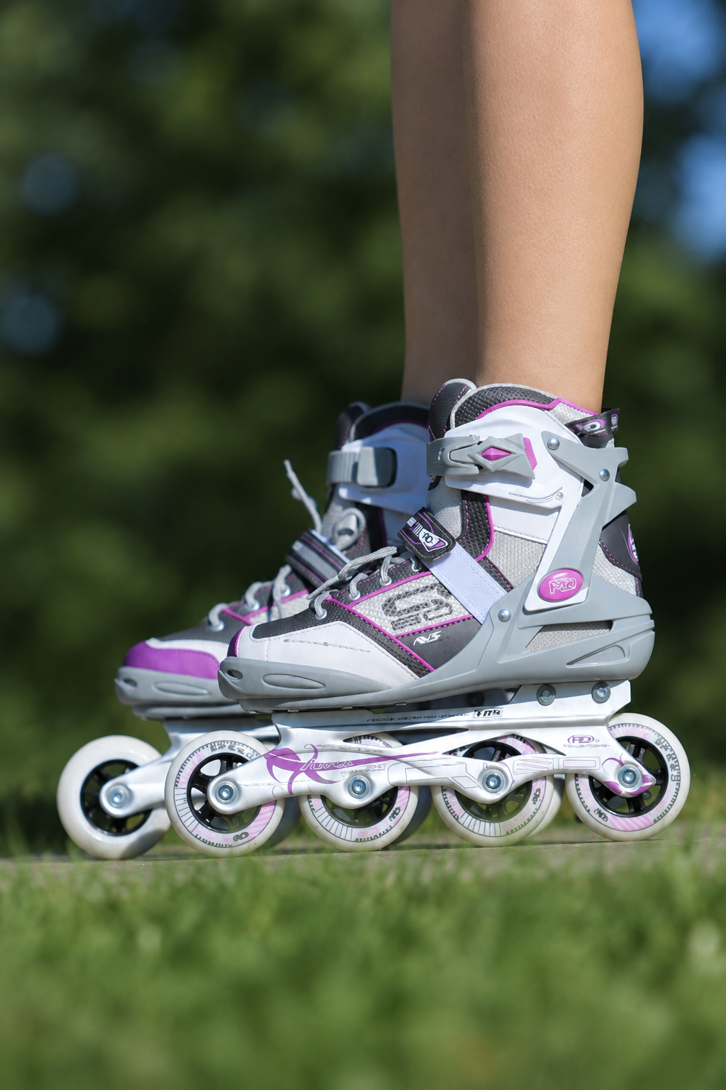 Inline Skates