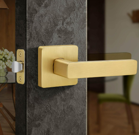 Passage Door Handles 1