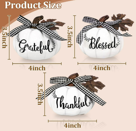 Fall Pumpkin Decor 3