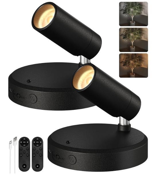 Indoor Spotlights (2) 1