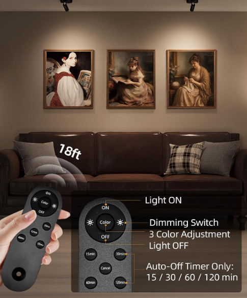 Indoor Spotlights (2) 5