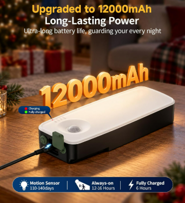 Rechargeable Security Light with Motion Sensor 3