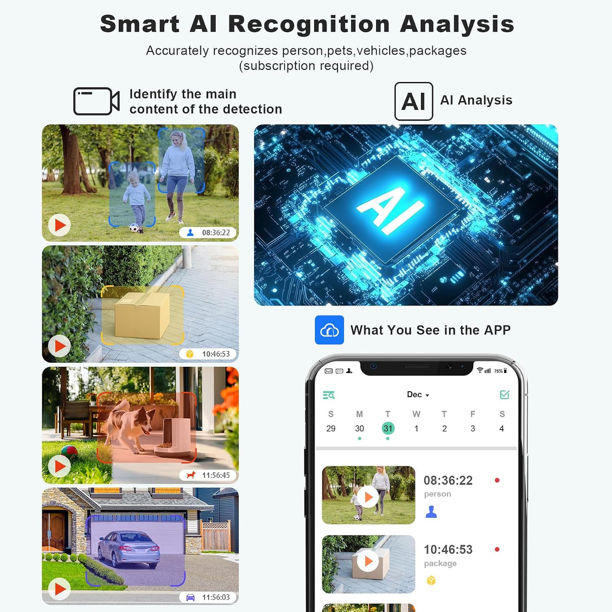 Wireless Security Cameras 4