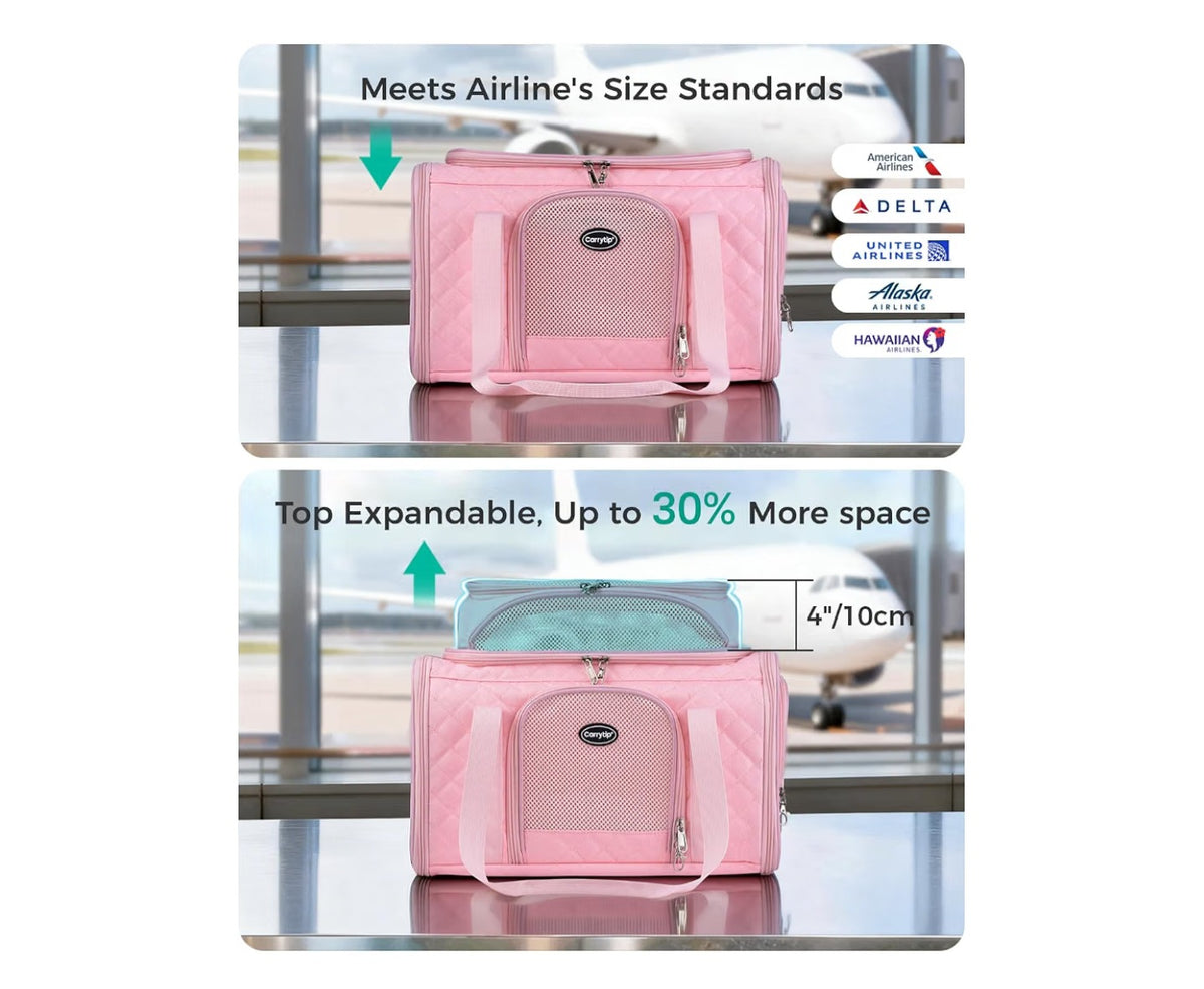 Pet Carrier 4