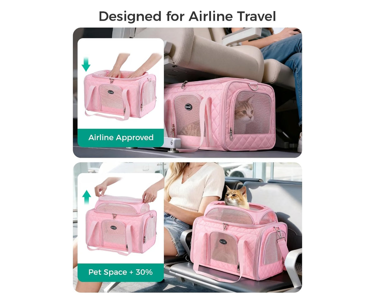 Pet Carrier 3