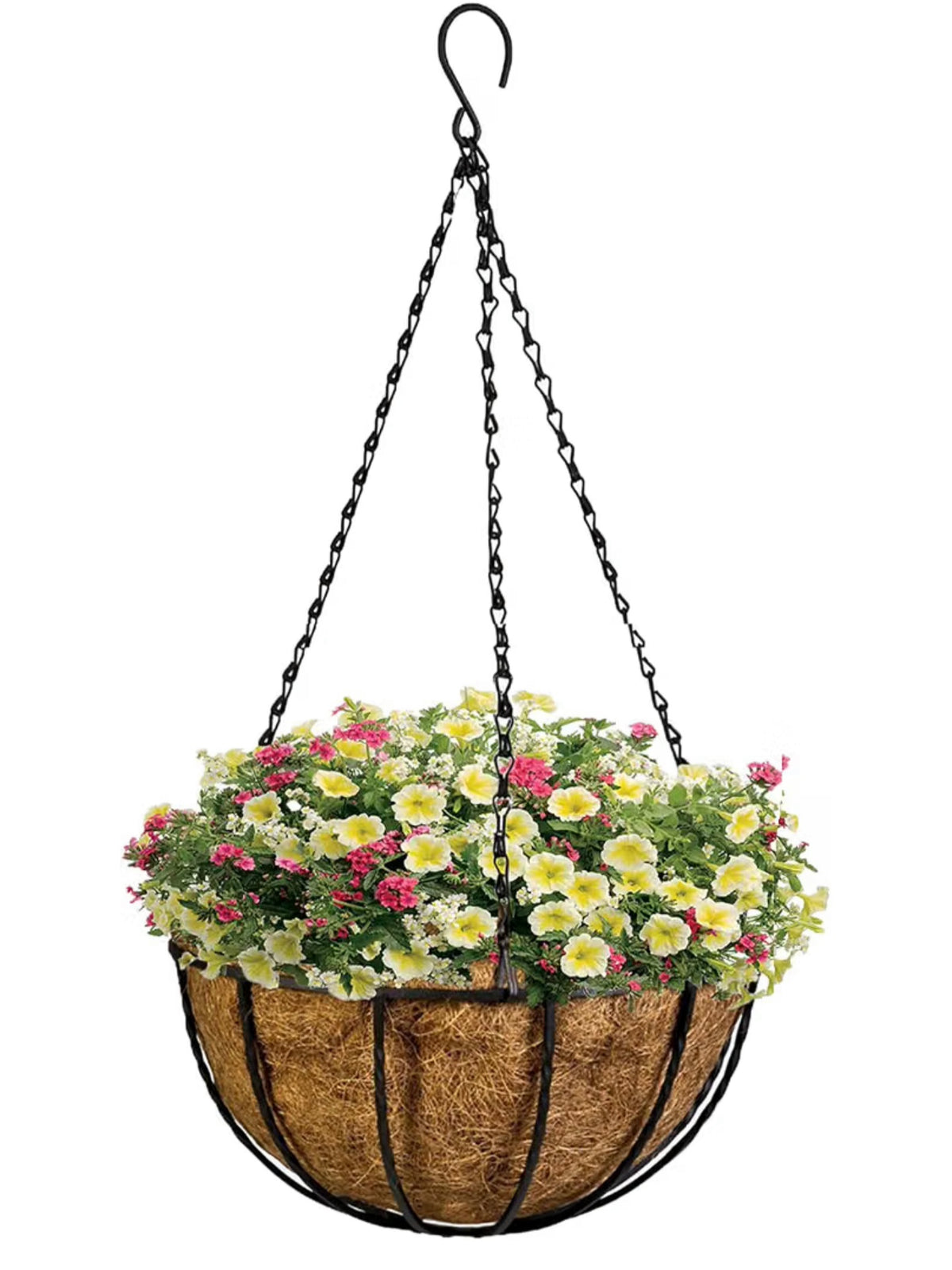 Hanging Baskets (2) 1