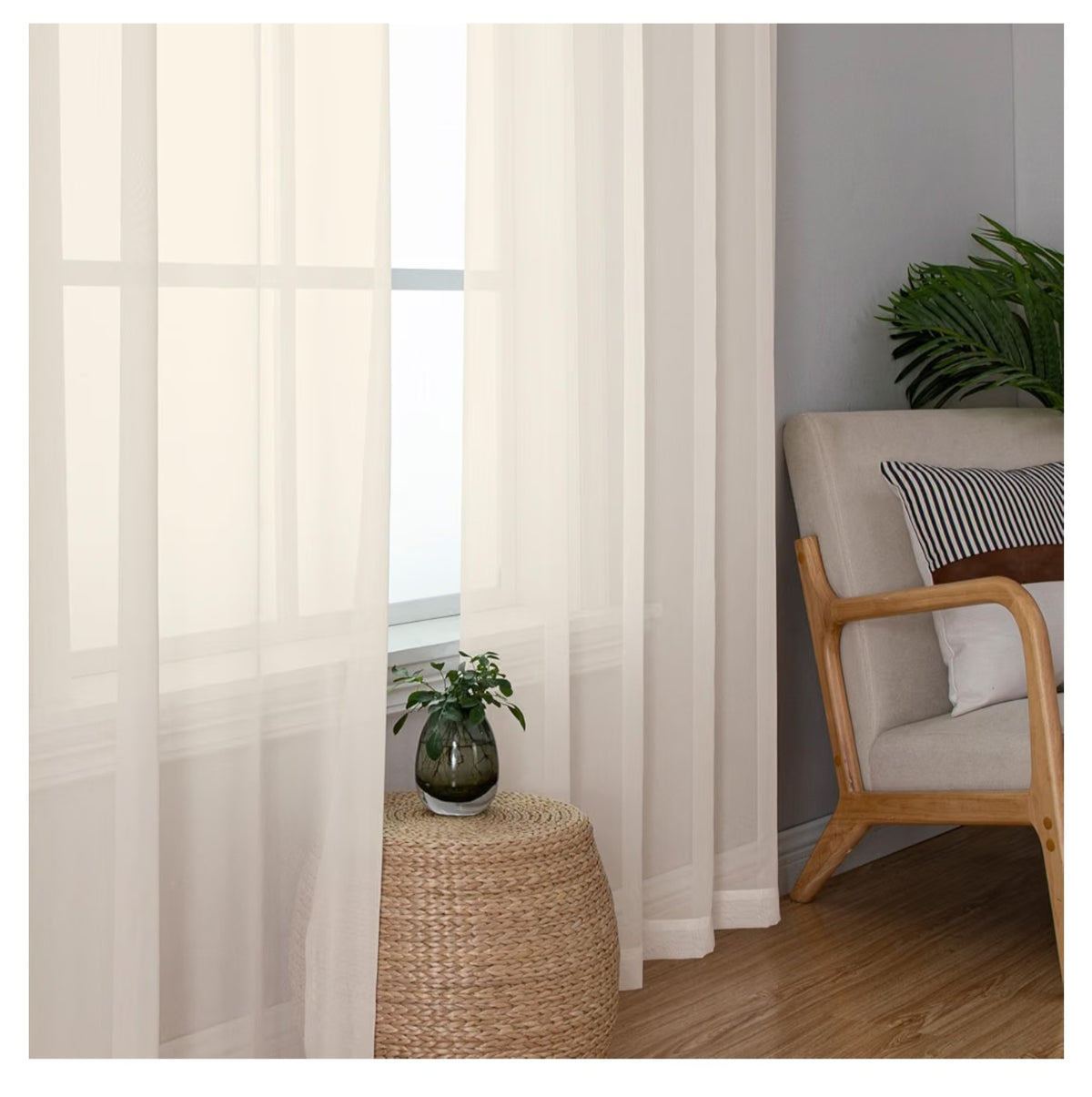 Window Curtains