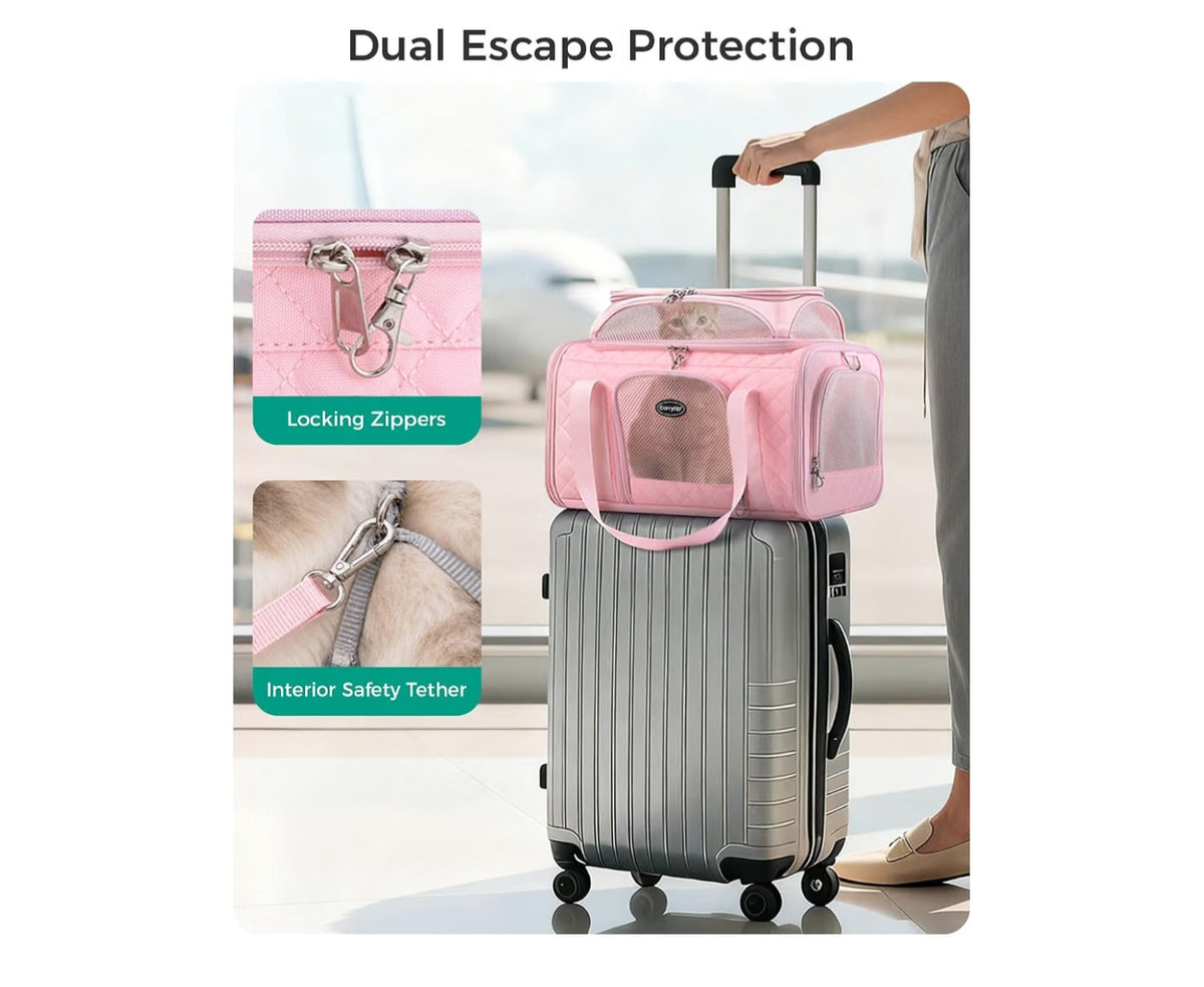 Pet Carrier 5