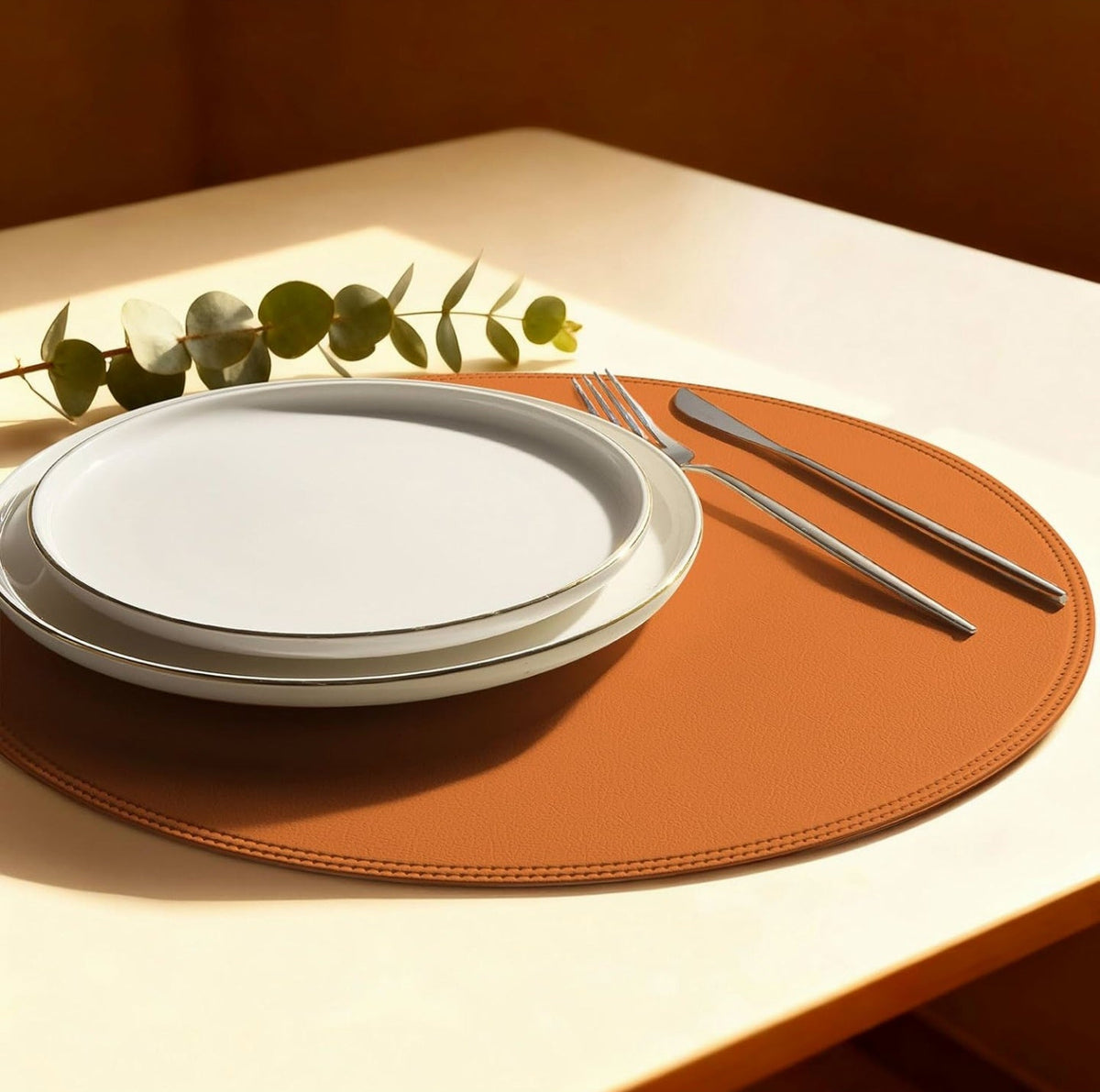 Faux Leather Placemats Set of 6 1